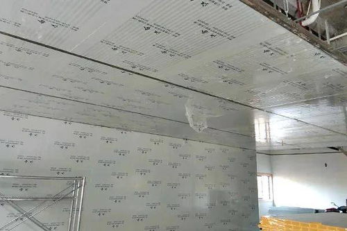 队伍建设是登高作业的坚实保障——四川食品厂净化车间高杆灯施工进度播报